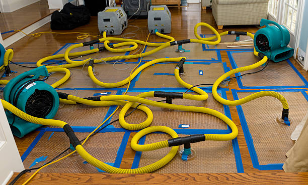 Professional Water Damage Repair technician working in Liberty, TX